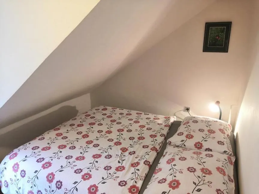 Hostel Pestalozza Špindlerŭv Mlýn Tjeckien